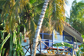 tarzan house in cabarete